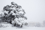 The White House in Washington, DC is covered in snow during a blizzard Feb. 6, 2010. (CREDIT: Pete Souza, Official White House flickr)