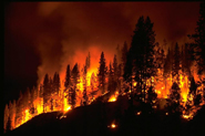 Wildfires — and other forms of burning biomass — can release the pollutant isocyanic acid. A new study models where the hot spots of this pollutant could be. CREDIT: NOAA