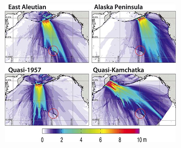 Live tsunami hawaii news