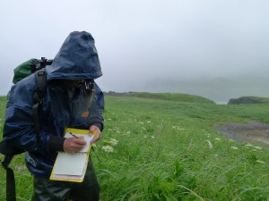 USGS Geologist Robert Witter documenting tsunami scour features near Stardust Bay, Alaska. Conditions in the Aleutian Islands can be wet and windy for days on end. Credit: Richard Koehler