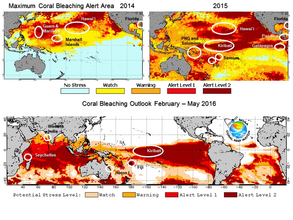 The top images show the maximum thermal stress levels measured by NOAA satellites in 2014 and 2015 along with locations where the worst coral bleaching was reported. The bottom image shows the Four Month Bleaching Outlook for February-May 2016 based on the NOAA Climate Forecast System model along with locations. Credit: NOAA. 
