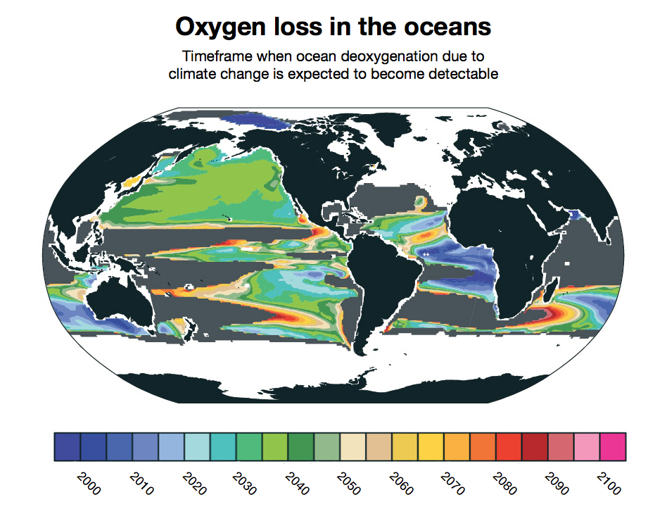 Deoxygenation due to climate change is already detectable in some parts of the ocean. New research finds that it will likely become widespread between 2030 and 2040. Other parts of the ocean, shown in gray, will not have detectable loss of oxygen due to climate change even by 2100. Credit: Matthew Long, NCAR. 