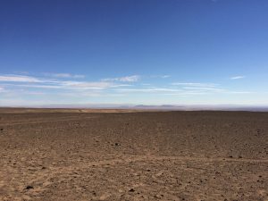 Despite being one of Earth’s driest places, new research shows the Atacama Desert once held freshwater lakes and wetlands. Credit: Marco Pfeiffer. 