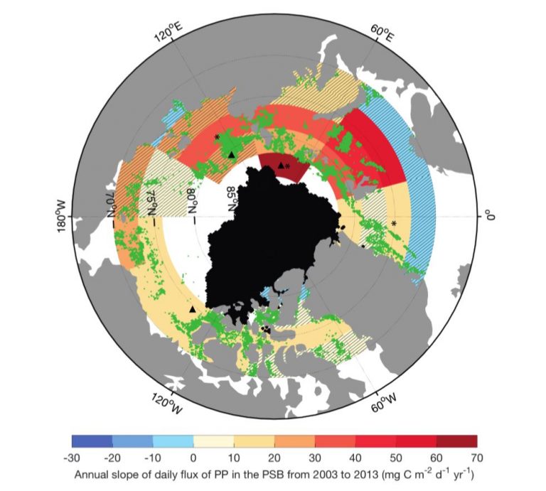 Arctic sea ice decline driving ocean phytoplankton farther north - AGU ...