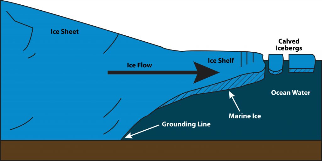 Seawater sometimes freezes to the underside of ice shelves, creating a layer of what’s called marine ice. Credit: AGU.