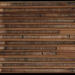 Tree rings collected from old-growth Dahurian larch trees. Trees grow one ring per year. Credit: Xianliang Zhang.
