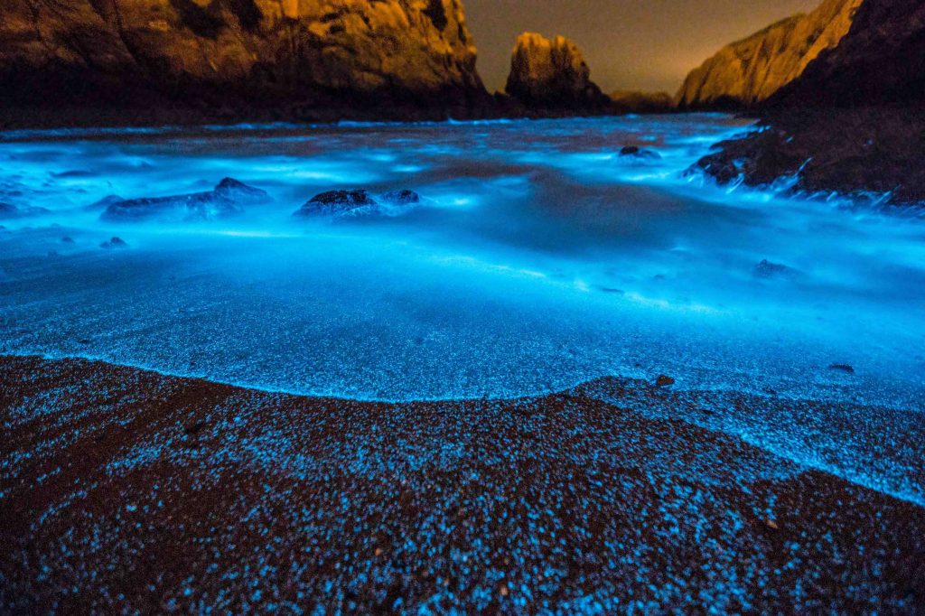 Blue bioluminescence produced by red Noctiluca scintillans near Taiwan’s Matsu Islands. Researchers now have a way to study the sparkly organisms by satellite. Credit: Yu-Xian Yang, Lienchiang county government, Taiwan