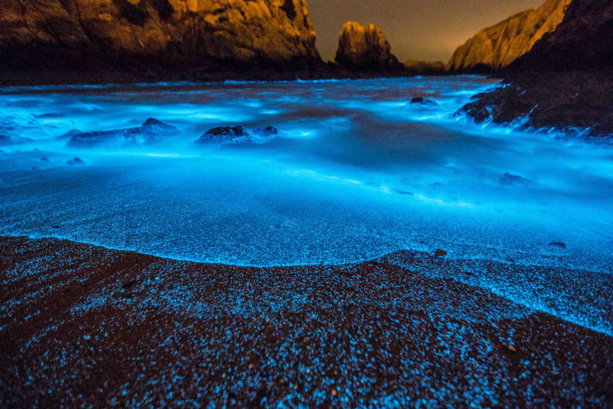 China’s sparkling bioluminescent seas are glowing brighter