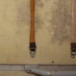 Mold grows on the International Space Station on a panel where exercise clothes were hung to dry. Credit: NASA
