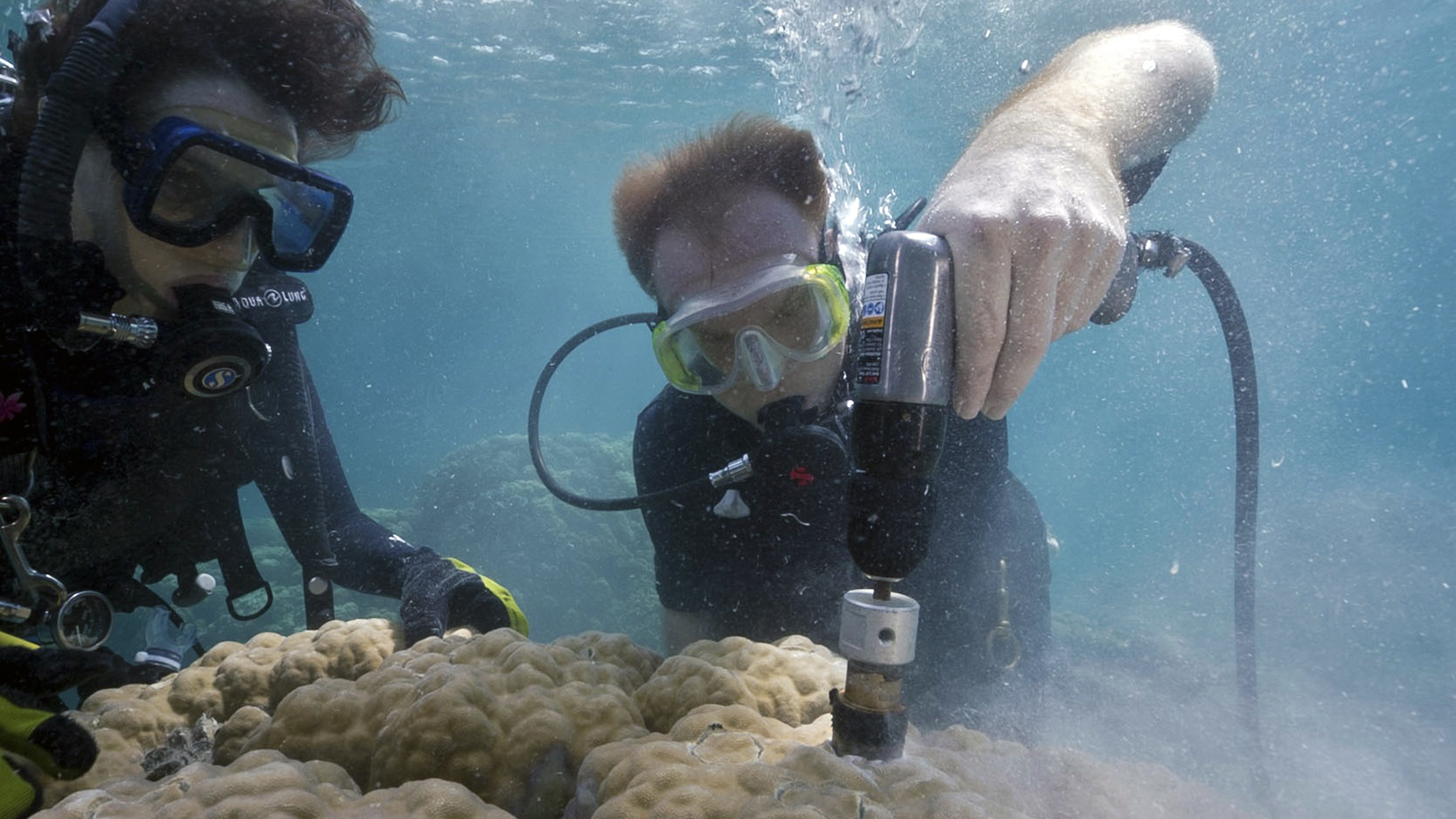 WHOI scientist Anne Cohen (left) and MIT-WHOI Joint Program student Nathan Mollica extract core samples from a giant Porites coral in Risong Bay, Palau. Credit: Richard Brooks, Lightning Strike Media Productions, Palau.