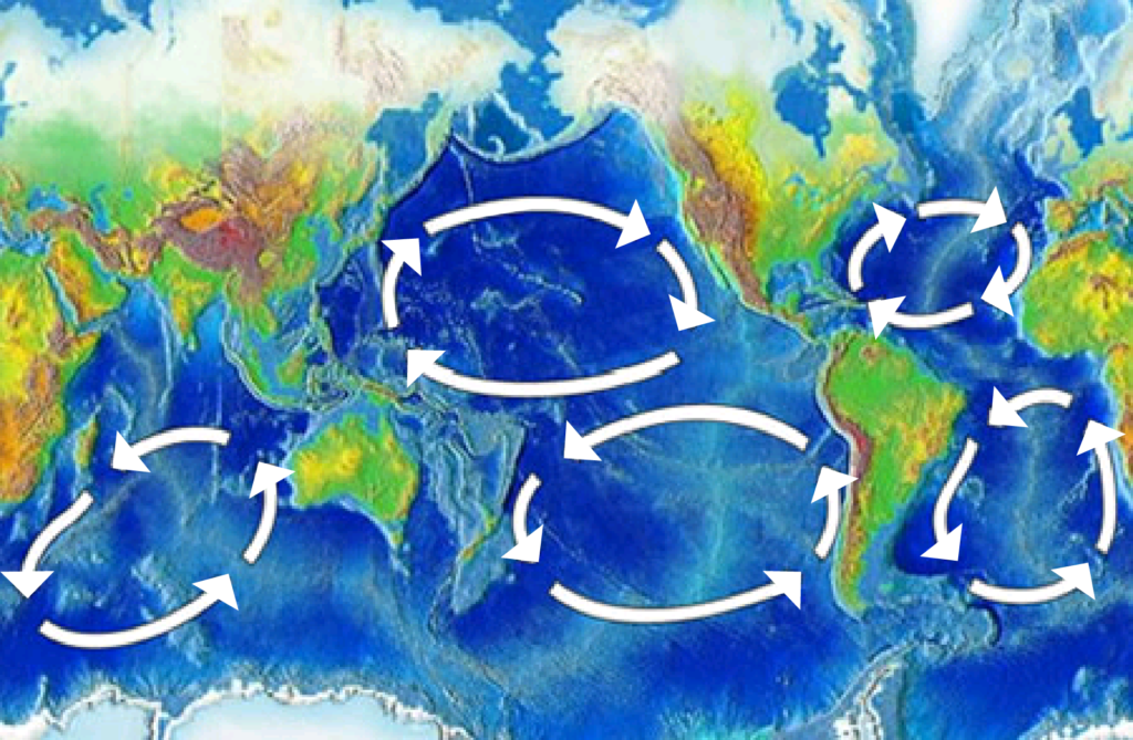 This map shows the five major ocean gyres: The North Atlantic, South Atlantic, North Pacific, South Pacific, and Indian Ocean gyres. Each is flanked by a strong and narrow western boundary current that moves warm water toward the poles and a weak and broad eastern boundary current that moves cold water toward the equator. Credit: NOAA (public domain). 