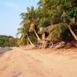 New research shows Earth’s tropics are expanding poleward and that expansion is driven by human-caused changes to the ocean. Earth’s tropical regions get the most direct sunlight throughout the year and are characterized by high average temperatures and heavy rainfall. Public domain.
