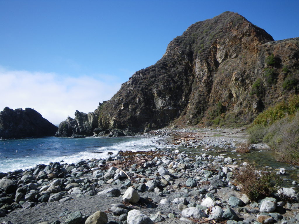California’s Big Creek meets the Pacific Ocean on the rugged stretch of coast known as Big Sur. New research finds steelhead trout in Big Creek accumulate mercury in their bodies when the fish eat roly polies and similar terrestrial bugs that fall into the water. Credit: Dave Rundio. 
