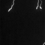 The GIF shows 10 video frames of