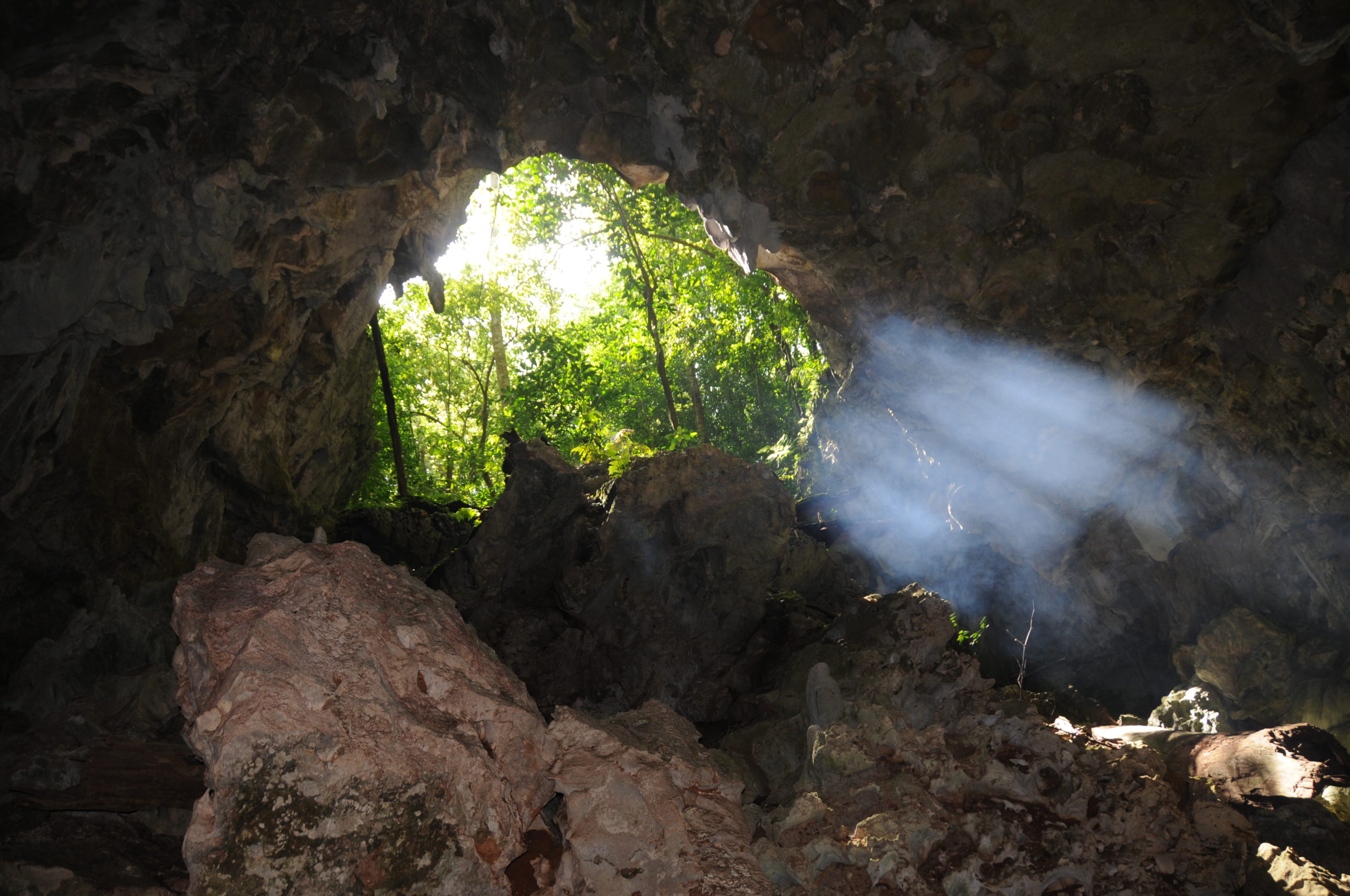 photograph of the entrance to Home Away from Home cave in Jamaica, seen from inside