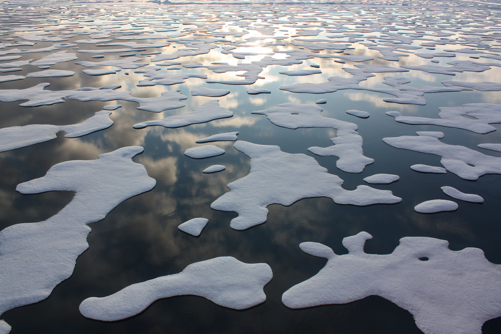 photograph of floating patches of ice on still dark water reflecting blue sky and clouds