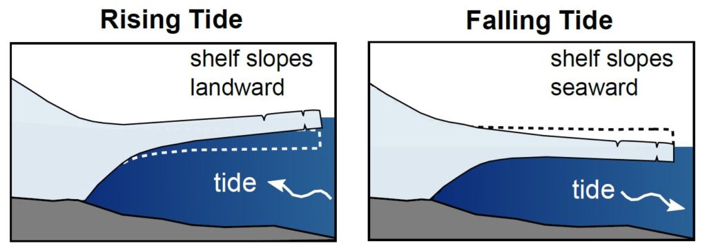 Drawing of cross sections of floating ice shelf shows lifting and falling effect of tides.