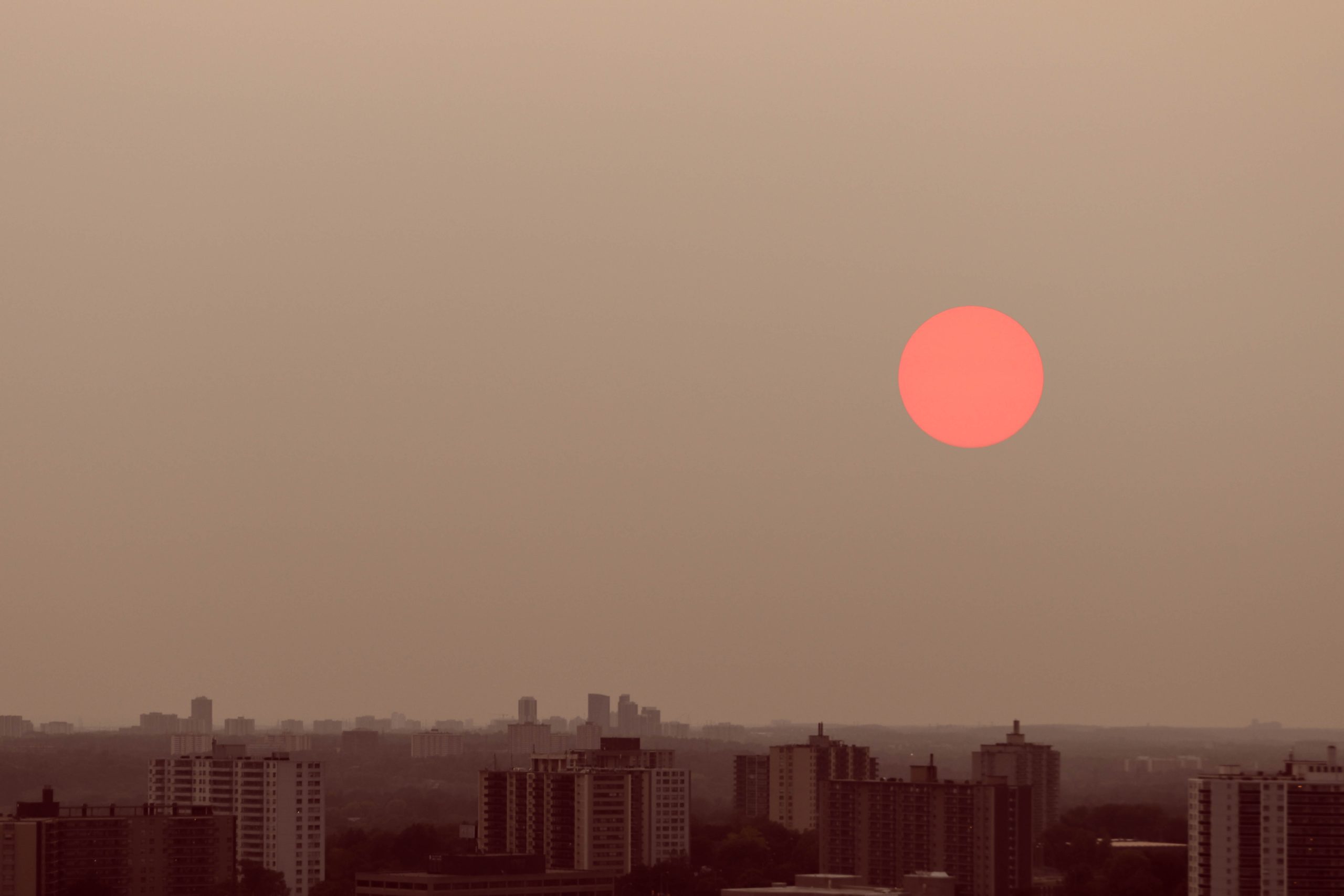 The sun is a matte, neon pink in a hazy brown sky over a smoky city skyline.