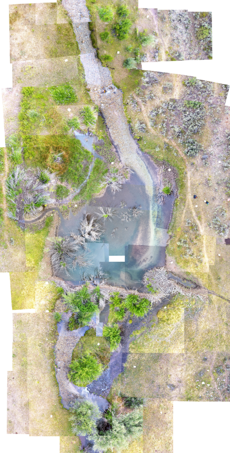 A beaver pond complex in the Bear River Mountains, seen from above in a collage of images, with streams flowing in from the top and the dam and lodge visible.