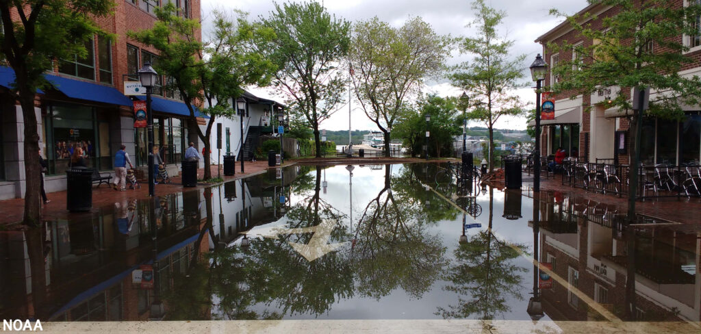 Photograph of Old Town Alexandria, Virginia shows standing water in a street with brick buildings, trees and pedestrians to either side.