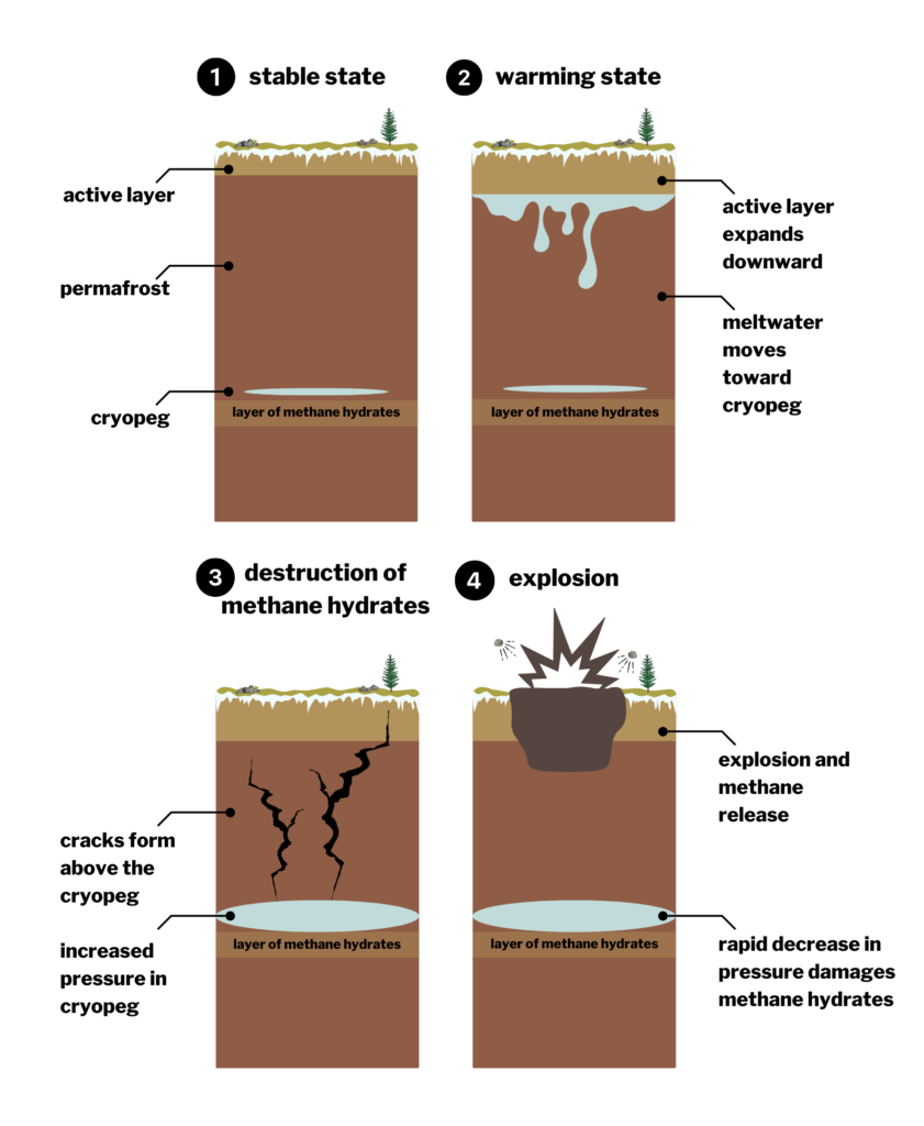 A graphic depicting the process of warming and osmosis that leads to explosions in the permafrost.