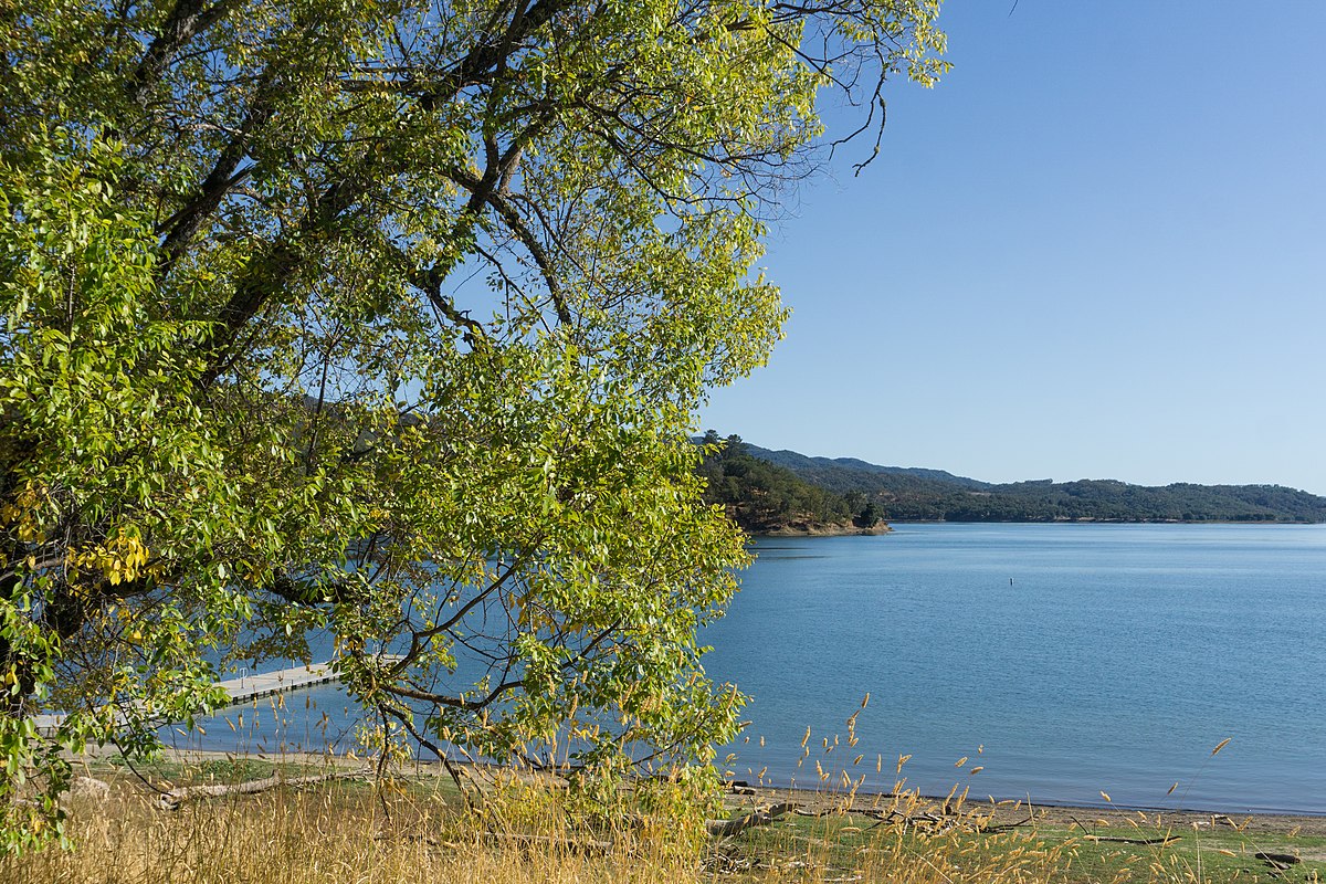 A photograph from the beachside of a lake. Half of the photo is of the open, clear blue sky and the bottom half is taken up by the blue lake. The left side of the picture has a large green tree covering over the lake.