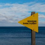 A sign posted near the ocean indicating a marine sanctuary zone