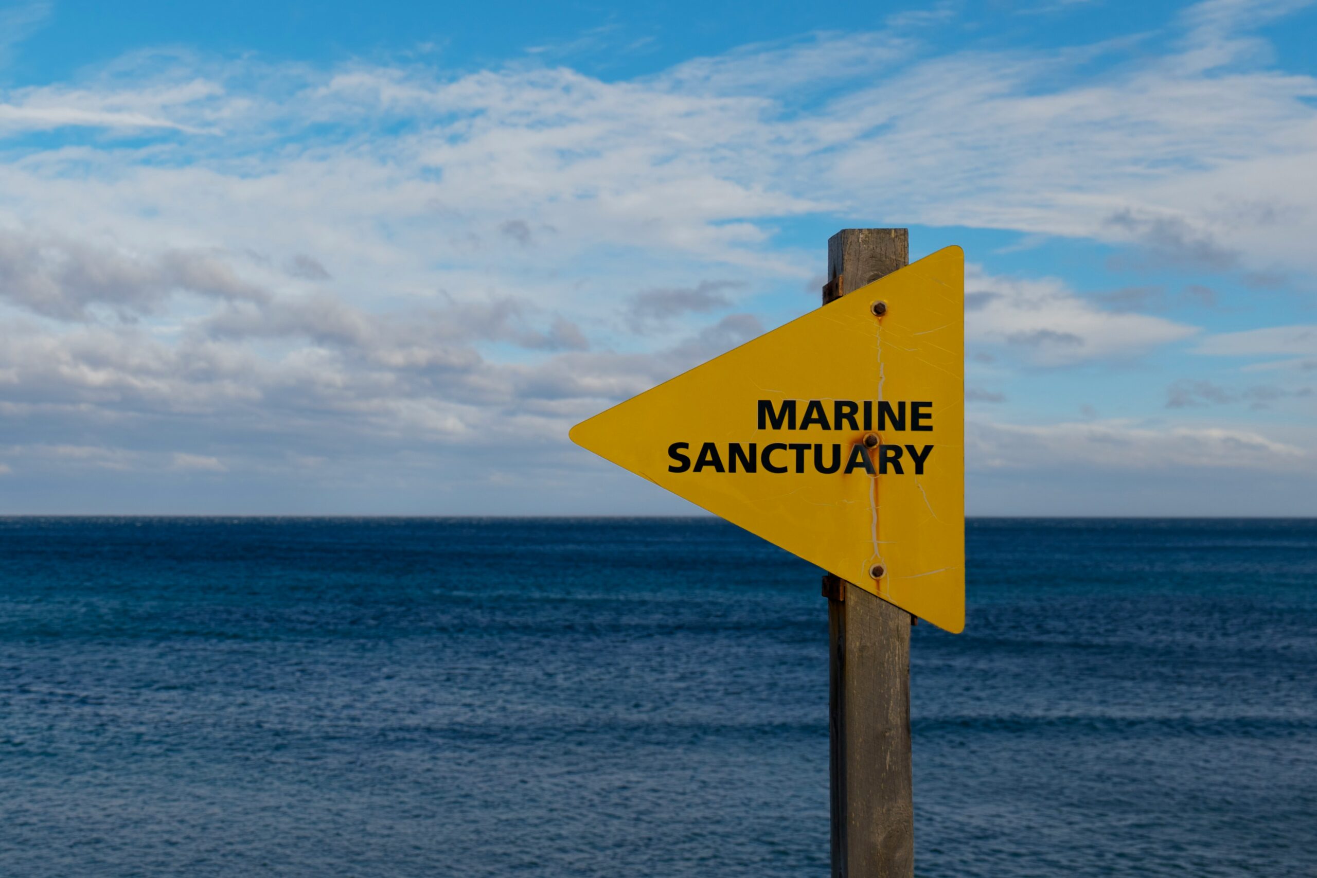 A sign posted near the ocean indicating a marine sanctuary zone