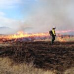 A photograph of three workers dressed in yellow shirts and green pants with red and white firefighter hats on. They stand in the middle of a blackened field with the far side of the field burning and on fire as they standby and monitor.