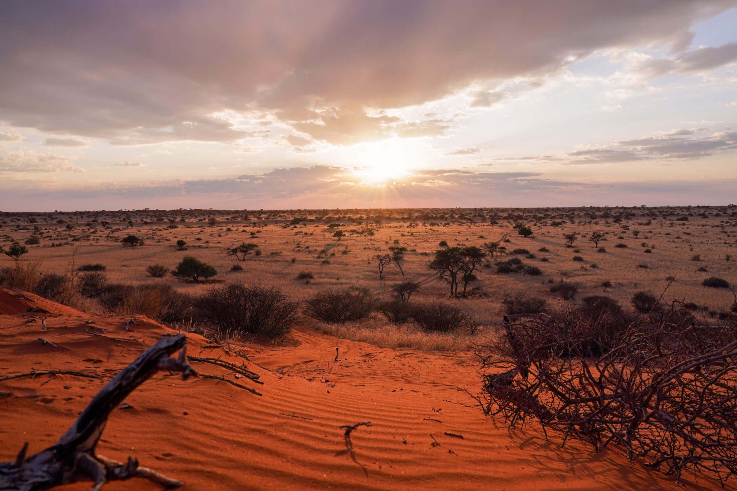 sunset over a broad, flat desert landscape dotted with shrubs and grasses