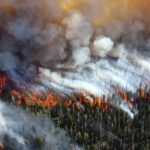 An aerial view of a wildfire burning a conifer forest, with the frontline of the fire visible and plumes of smoke obscuring the forest behind it