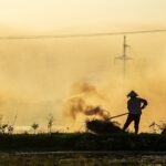 A farmer using a hoe on a pile of brush outside on a hazy day