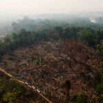 A cleared area of Amazonian rainforest seen from above, with many logs littering the ground and a dirt road with three trucks running along the side of the cleared area.