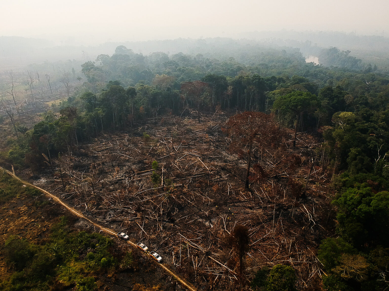 Um pedaço de floresta derrubada perto de Apuí, no sudeste do estado brasileiro do Amazonas. Enquanto pequenas áreas de desmatamento podem aumentar as chuvas locais, limpar vastas faixas tem o efeito oposto, especialmente sob a mudança climática. Crédito: Amazônia Real, AGU, Wikimedia Commons