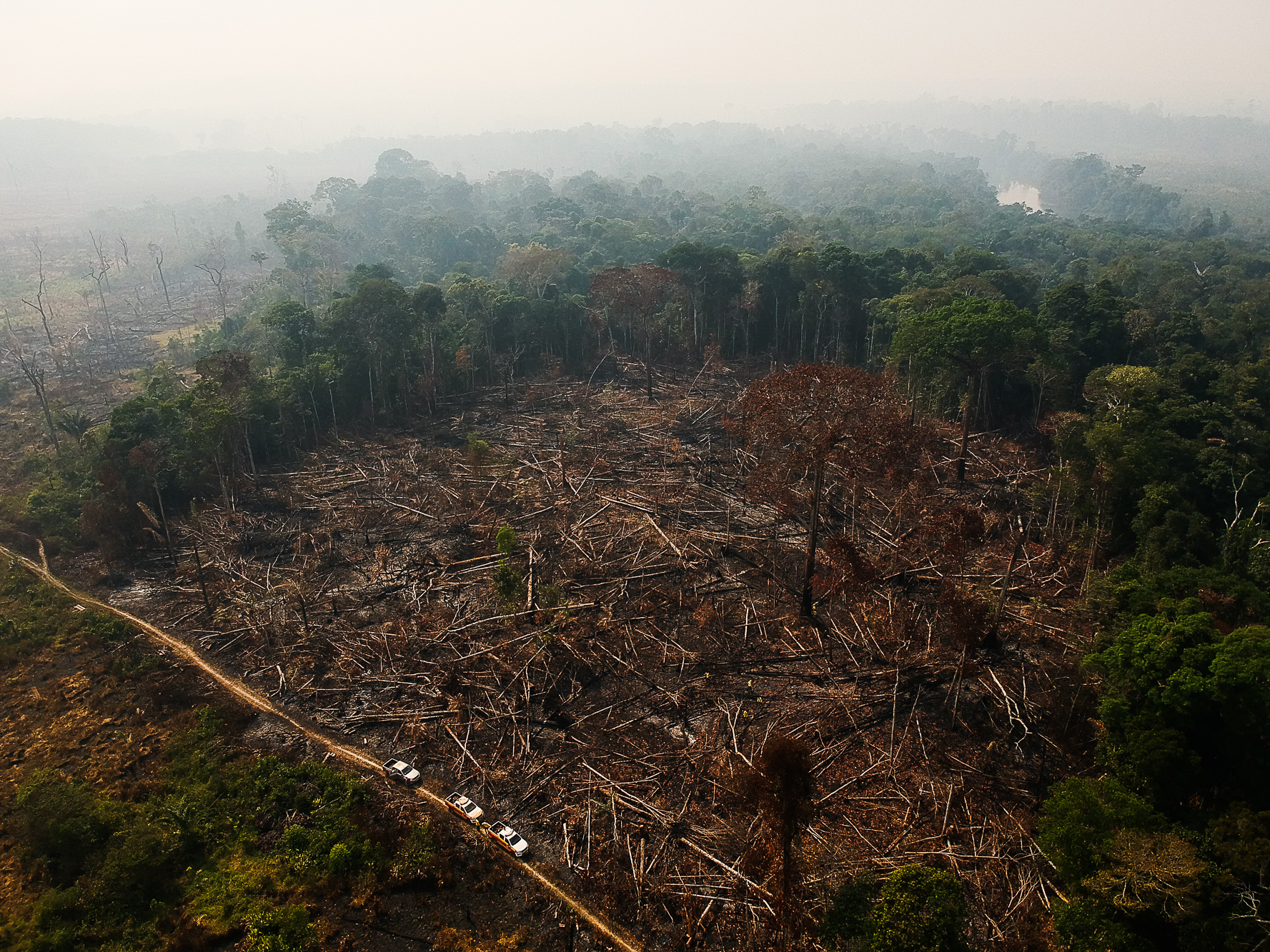 A cleared area of Amazonian rainforest seen from above, with many logs littering the ground and a dirt road with three trucks running along the side of the cleared area.