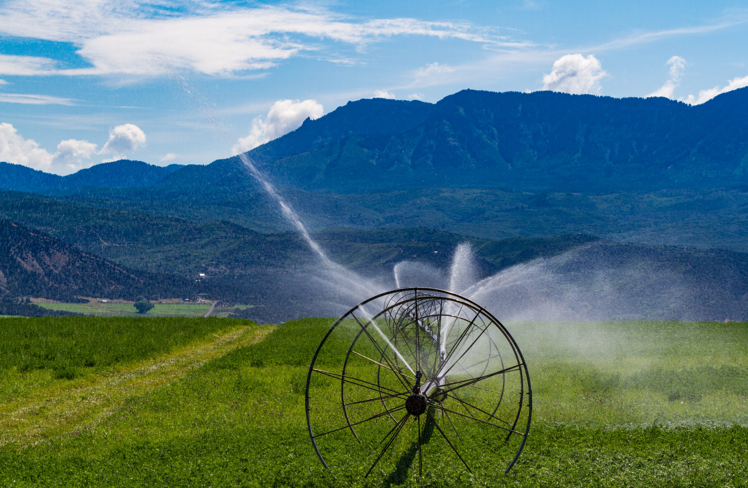 Wheeled irrigation pipes shoot sprays of water over a grassy field with a valley and mountains in the background
