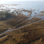 A coastal wetland seen from an aerial angle, with grassy and scrubby vegetation in the foreground gradually interspersing with patches of water until becoming ocean in the background