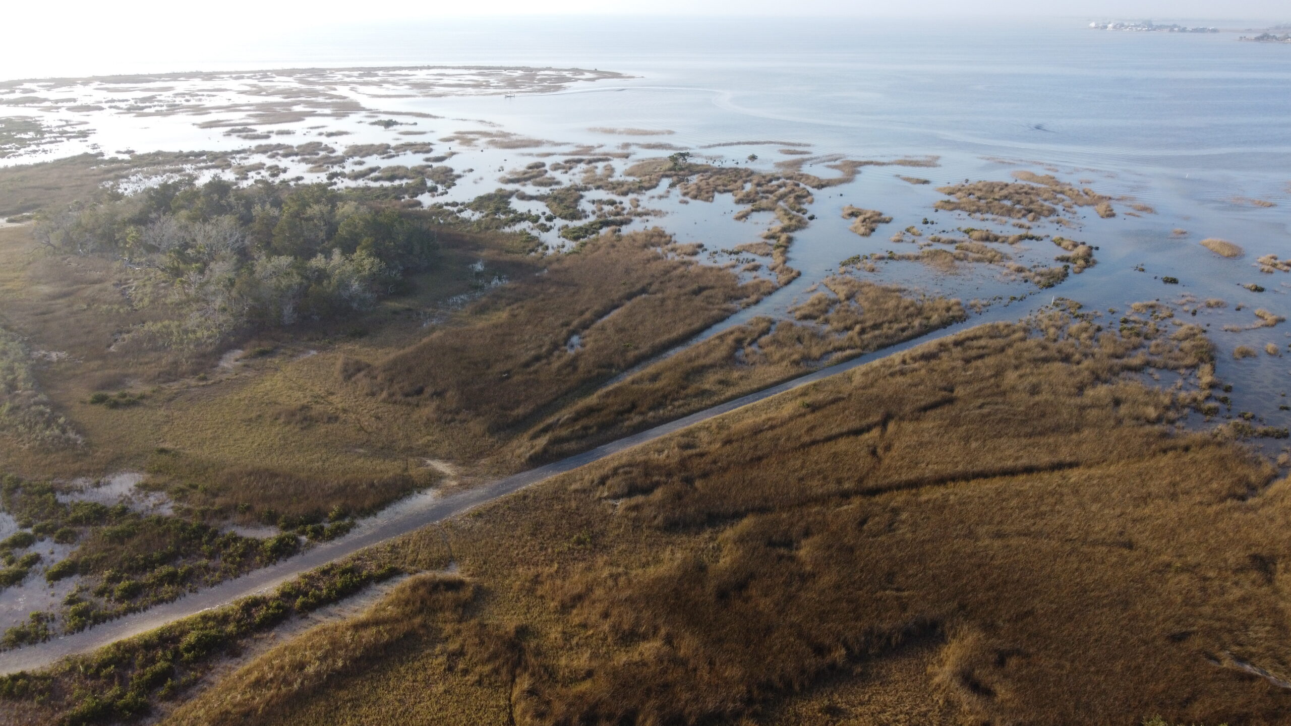 A coastal wetland seen from an aerial angle, with grassy and scrubby vegetation in the foreground gradually interspersing with patches of water until becoming ocean in the background