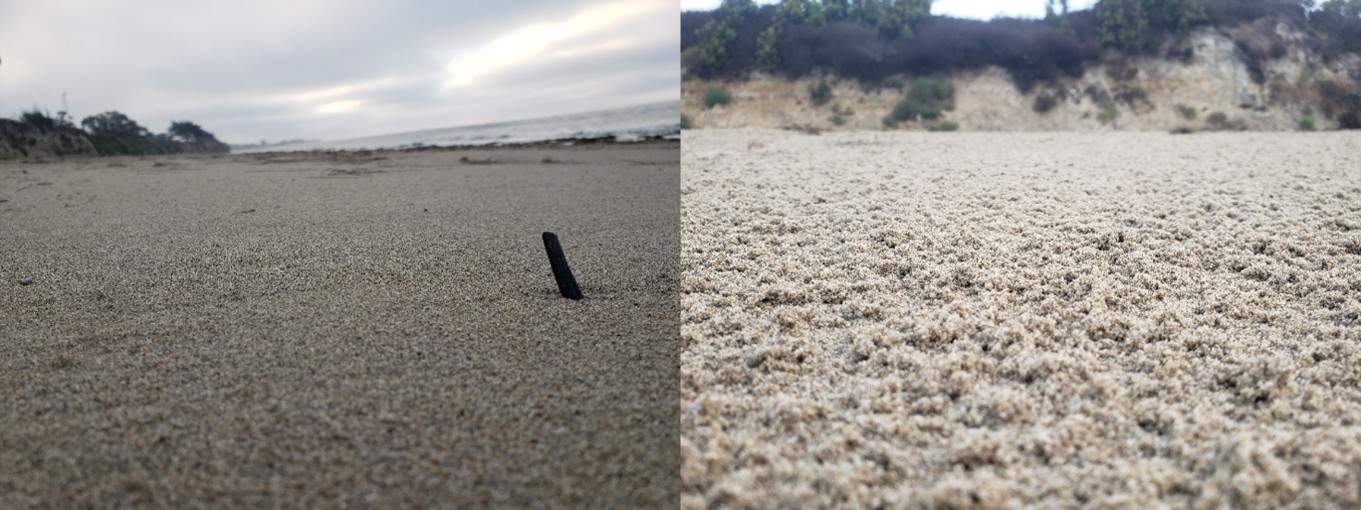 Side by side comparison of smooth beach sand versus mounded sand kicked up by sand hoppers.