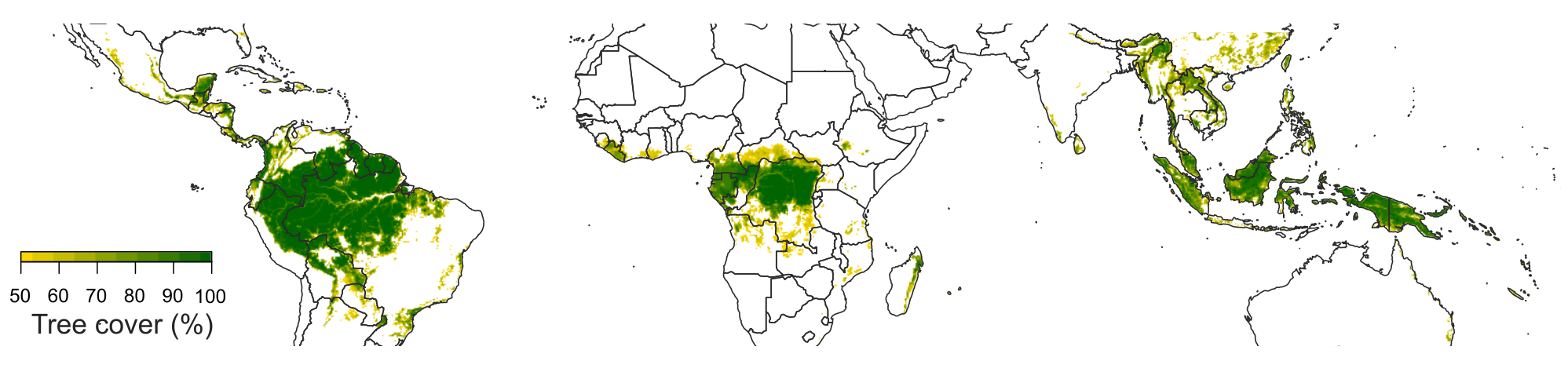 A map of tropical forest area considered in the study